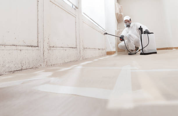 24/7 Emergency Black Mold Removal experts in Point Pleasant, PA