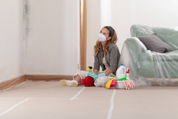 Reliable Black Mold Removal contractor in Point Pleasant, PA by WQB Mold Removal